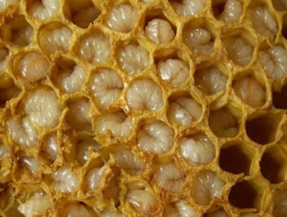 Prodotti dell'apicoltura